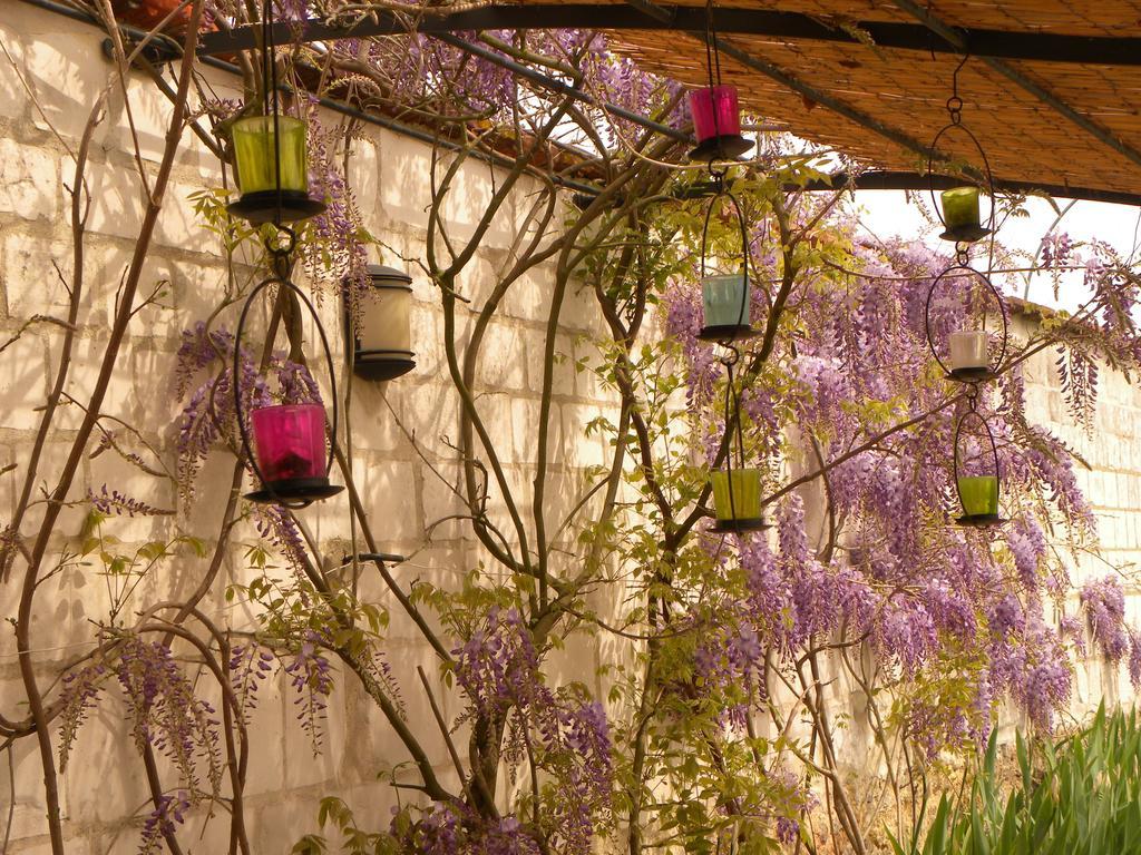 Entre Cour Et Jardin Hotel Châlons-en-Champagne Eksteriør billede